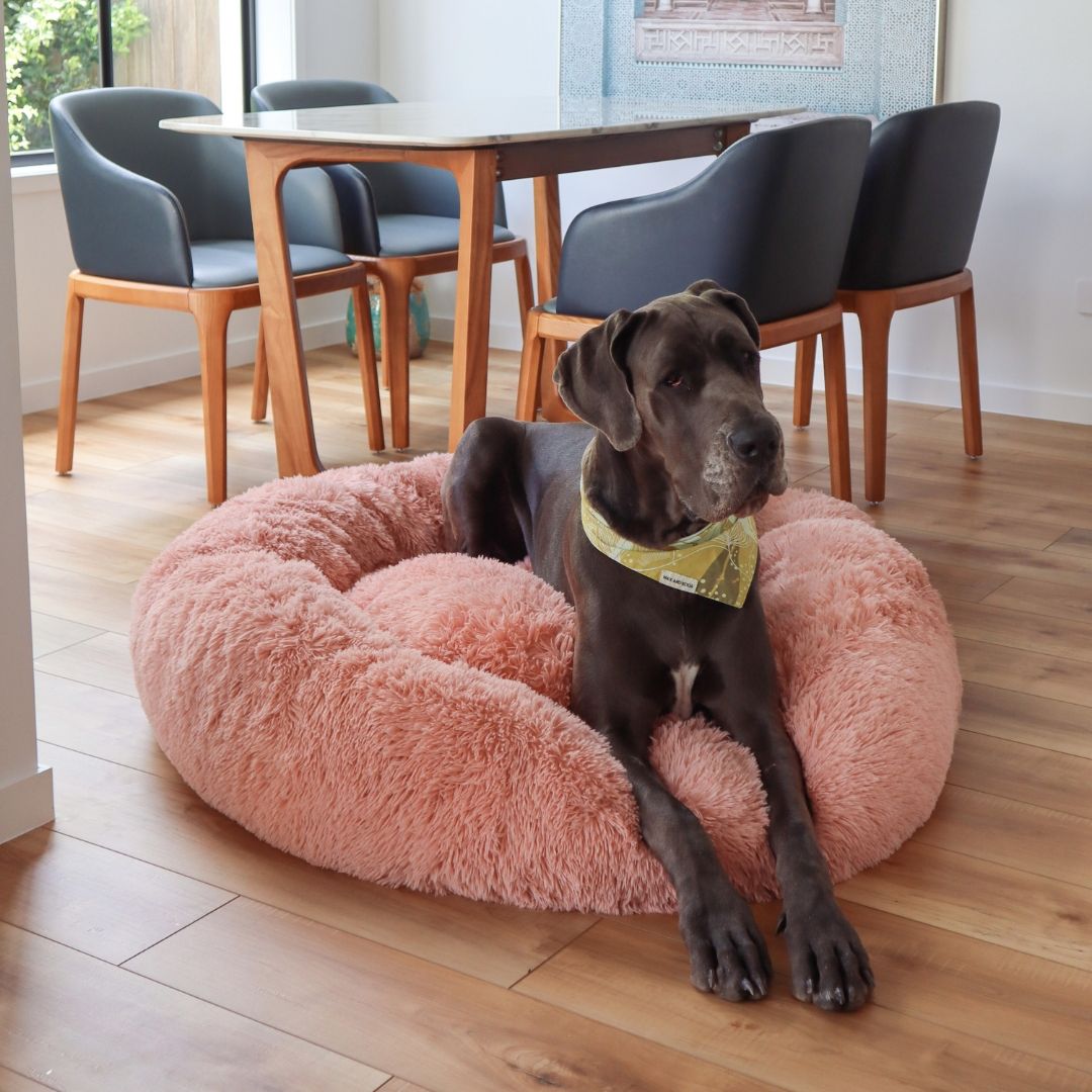 Calming Donut Dog Bed Sash Beds Sash Beds UK