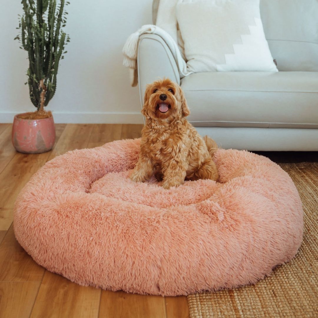 Calming Donut Dog Bed Sash Beds Sash Beds UK