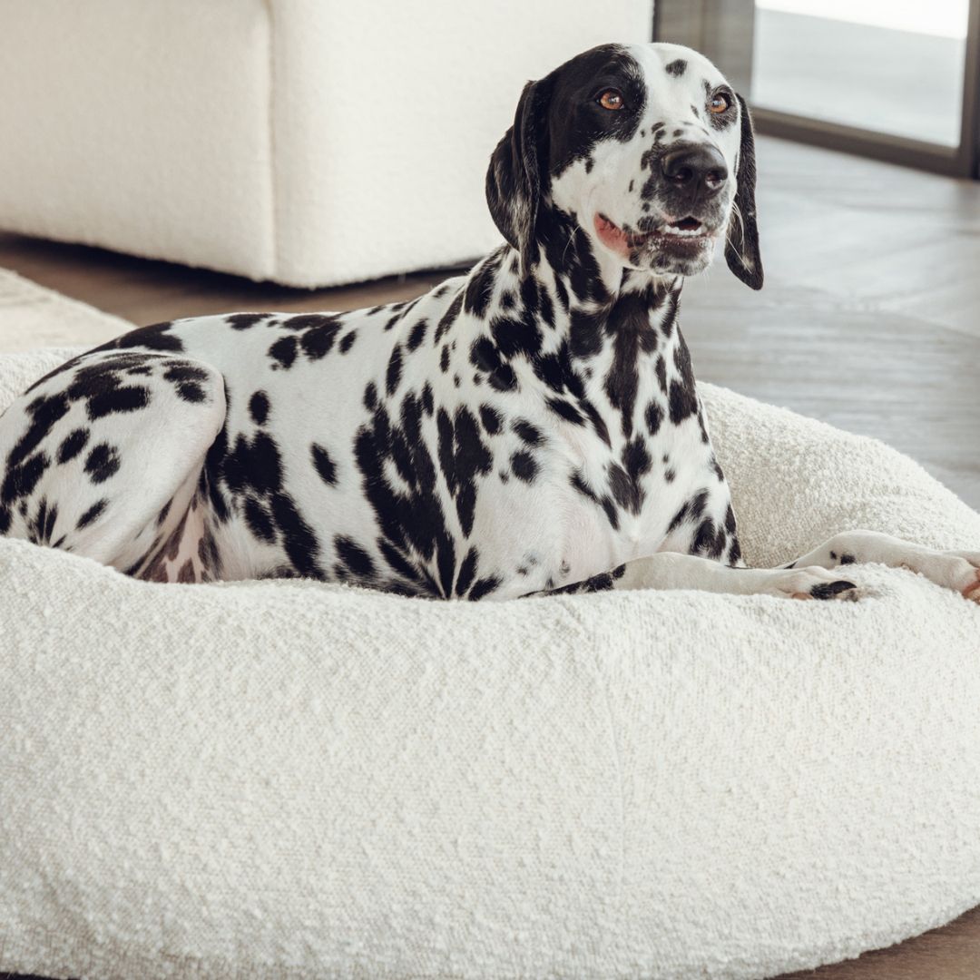 Fur dog beds uk cheap