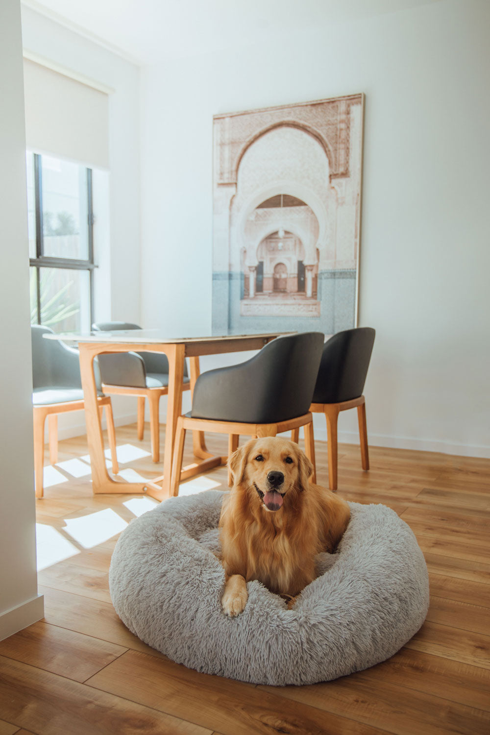 Donut calming dog outlet bed